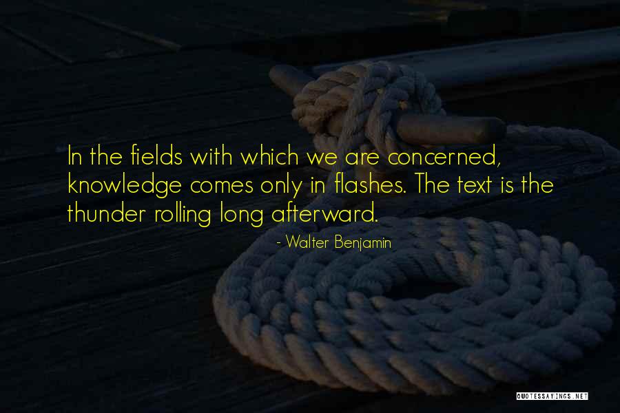 Yasuhiro Nightow Quotes By Walter Benjamin Yasuhiro Nightow Quotes By Walter Benjamin