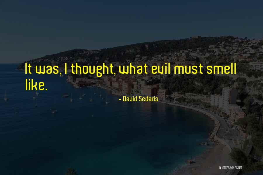 Yasuhiro Sprites Quotes By David Sedaris Yasuhiro Sprites Quotes By David Sedaris