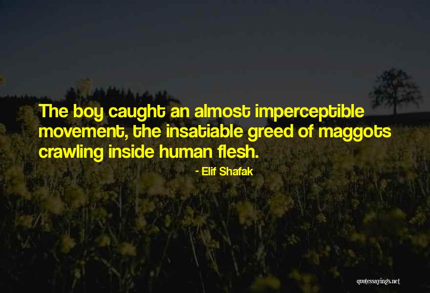 Yasuko Matsuyuki Quotes By Elif Shafak Yasuko Matsuyuki Quotes By Elif Shafak