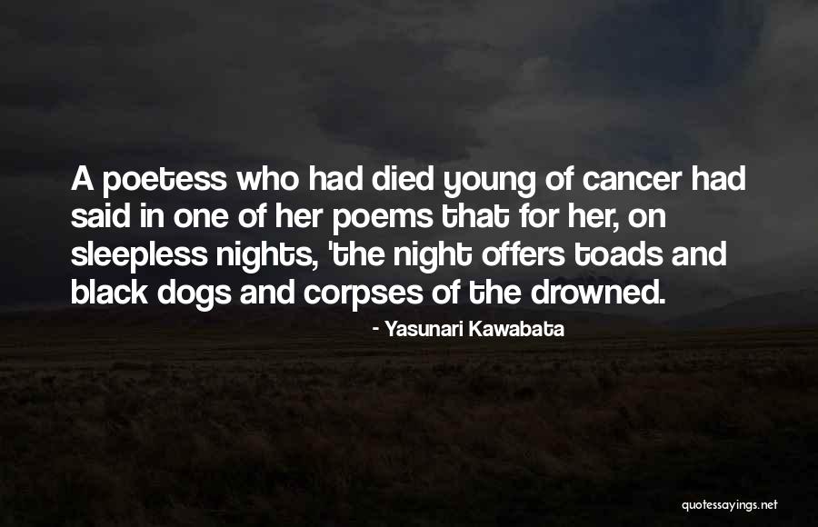 Yasunari Kawabata Quotes 2039064