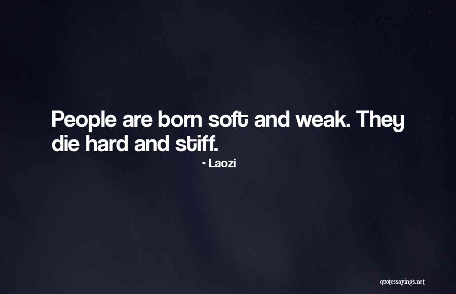Yasuragis Bio Therapeutic Spa Quotes By Laozi Yasuragis Bio Therapeutic Spa Quotes By Laozi