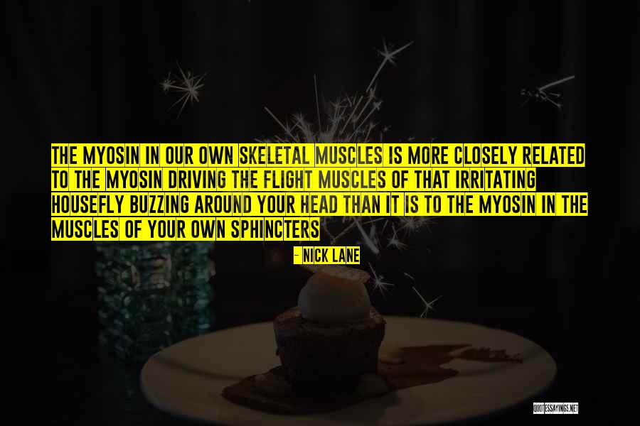 Yatan Sailor Quotes By Nick Lane Yatan Sailor Quotes By Nick Lane