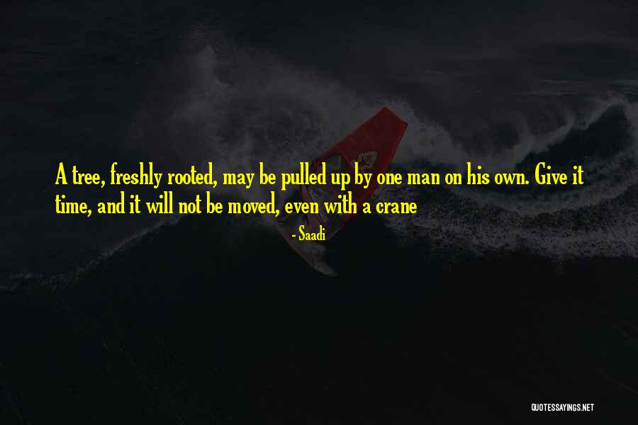 Yatmaq Quotes By Saadi Yatmaq Quotes By Saadi