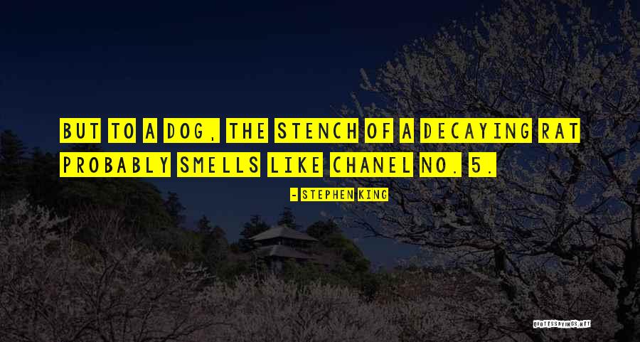 Yaunera Quotes By Stephen King Yaunera Quotes By Stephen King