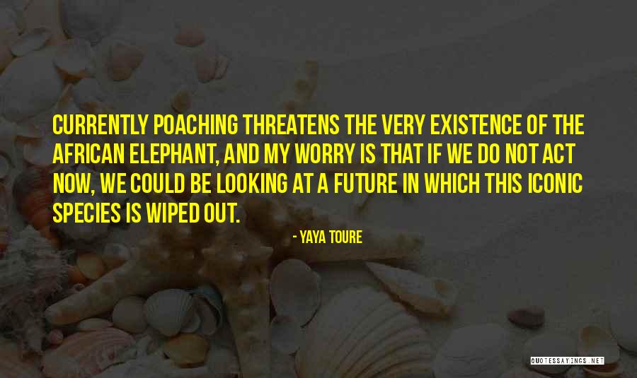 Yaya Toure Quotes 1915595 Yaya Toure Quotes 1915595