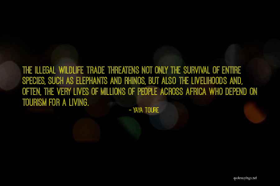 Yaya Toure Quotes 2030857 Yaya Toure Quotes 2030857