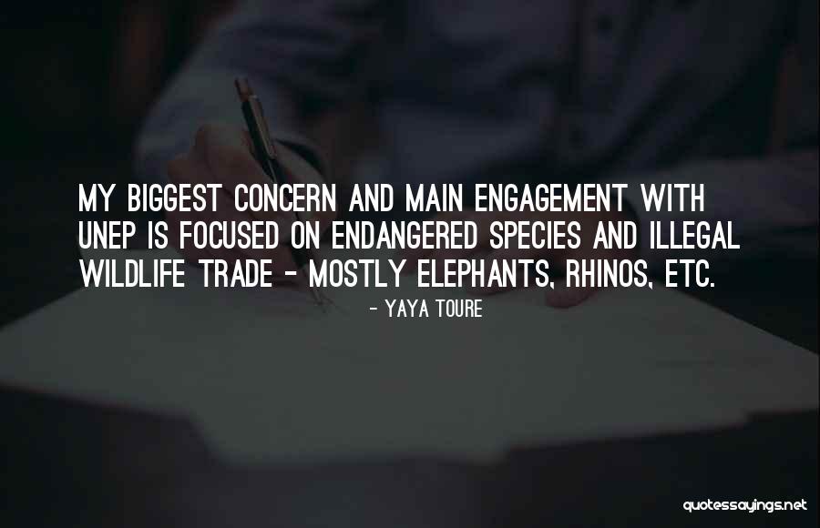 Yaya Toure Quotes 476400 Yaya Toure Quotes 476400
