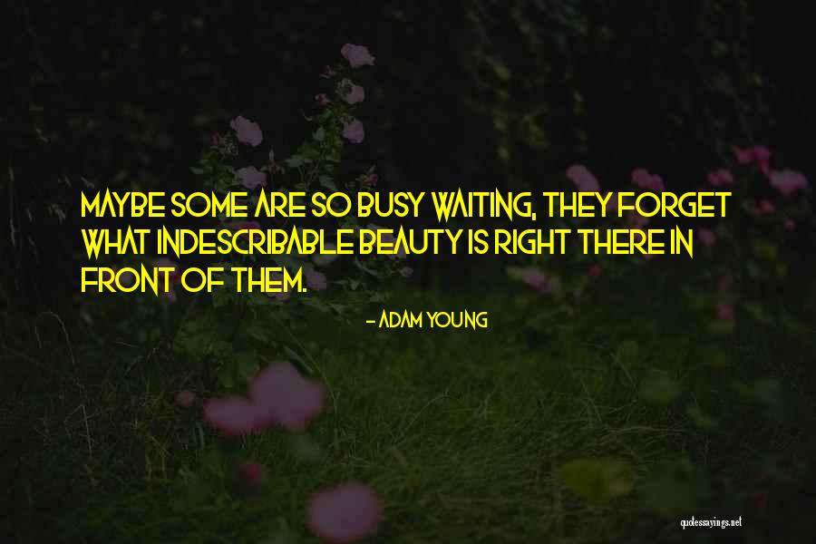 Yazarlik Quotes By Adam Young Yazarlik Quotes By Adam Young