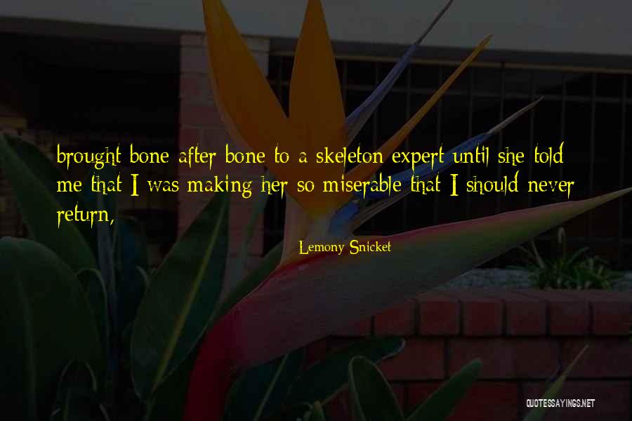 Yazmeen Riddick Quotes By Lemony Snicket Yazmeen Riddick Quotes By Lemony Snicket