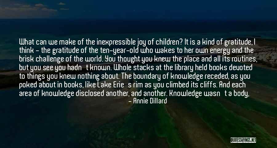 Year Ended Quotes By Annie Dillard Year Ended Quotes By Annie Dillard