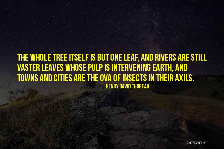 Yearbook Inspirational Quotes By Henry David Thoreau Yearbook Inspirational Quotes By Henry David Thoreau
