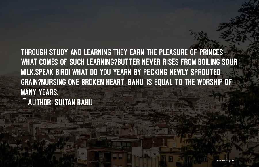 Yearn Quotes By Sultan Bahu