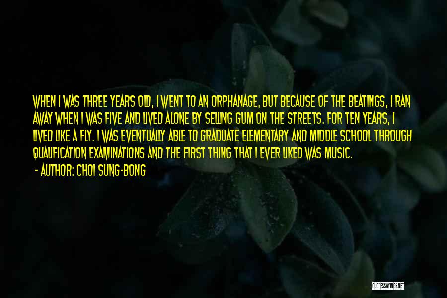 Years Fly By Quotes By Choi Sung-bong