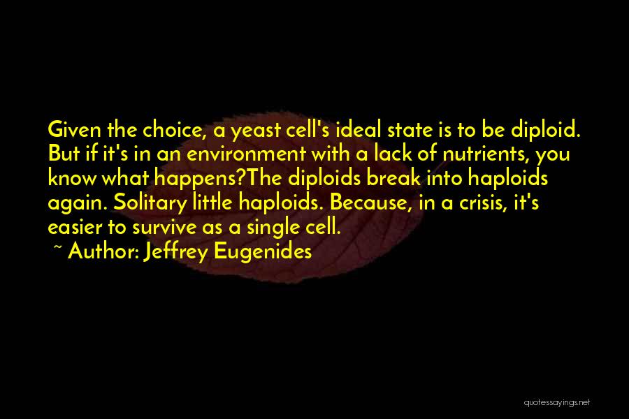 Yeast Quotes By Jeffrey Eugenides