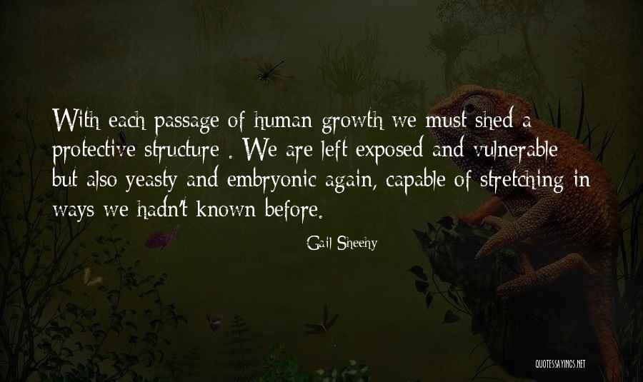 Yeasty Quotes By Gail Sheehy Yeasty Quotes By Gail Sheehy