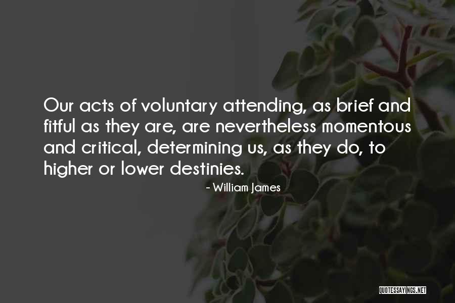 Yechiel Reflective Quotes By William James Yechiel Reflective Quotes By William James