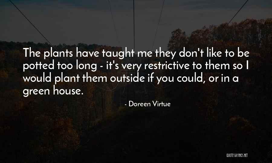 Yehonatan Kaufman Quotes By Doreen Virtue Yehonatan Kaufman Quotes By Doreen Virtue