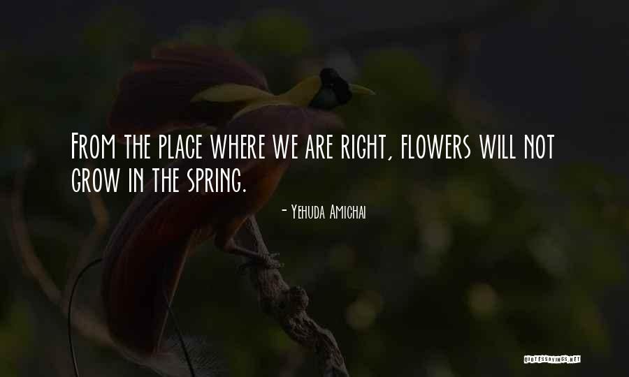 Yehuda Amichai Quotes 1062313 Yehuda Amichai Quotes 1062313