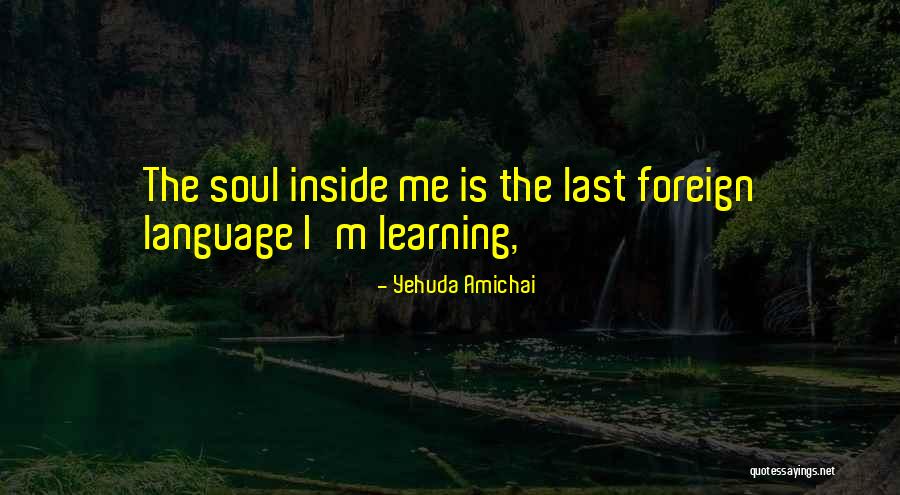 Yehuda Amichai Quotes 1332406