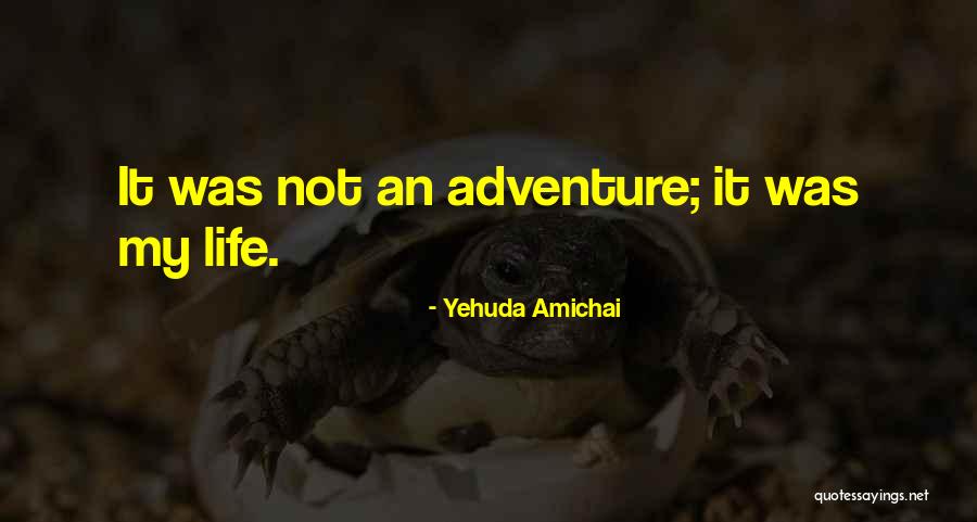 Yehuda Amichai Quotes 442674