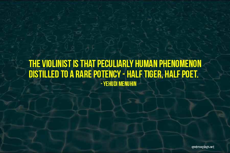 Yehudi Menuhin Quotes 1406508 Yehudi Menuhin Quotes 1406508