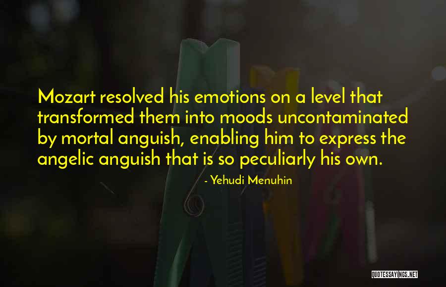 Yehudi Menuhin Quotes 1595520 Yehudi Menuhin Quotes 1595520
