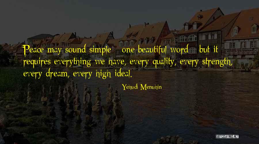 Yehudi Menuhin Quotes 551544