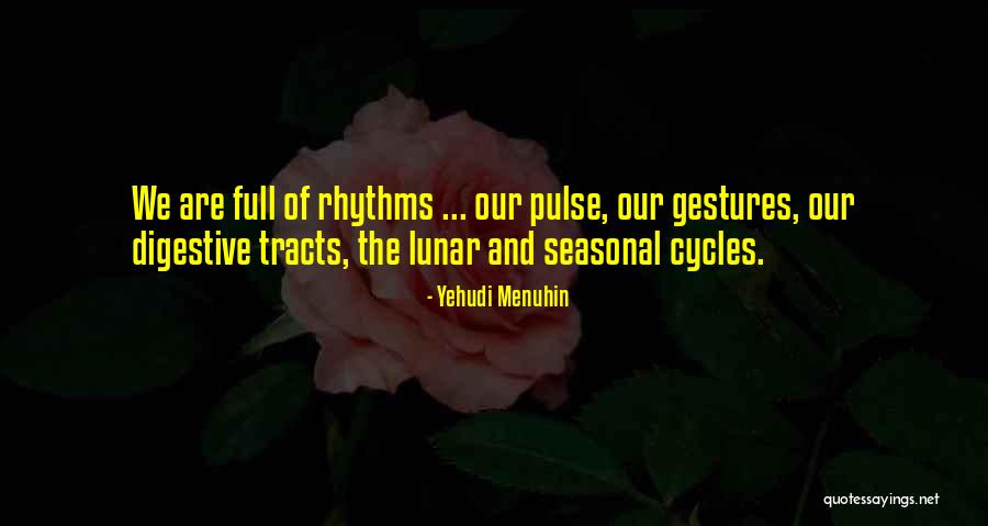 Yehudi Menuhin Quotes 590228