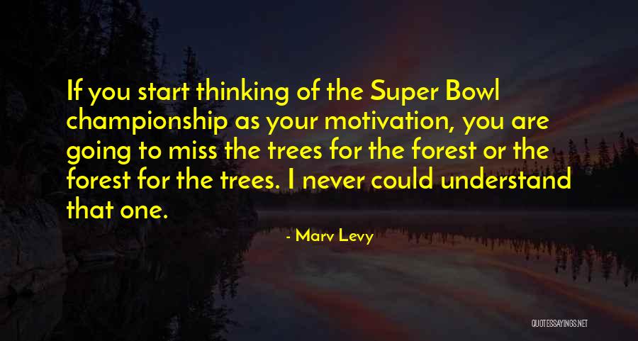 Yehudi Mercado Quotes By Marv Levy Yehudi Mercado Quotes By Marv Levy