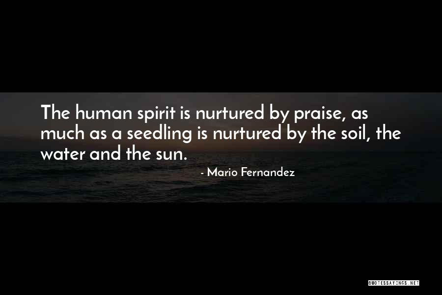 Yejide Peters Quotes By Mario Fernandez Yejide Peters Quotes By Mario Fernandez