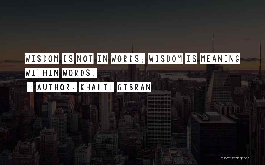 Yekta Vpn Quotes By Khalil Gibran