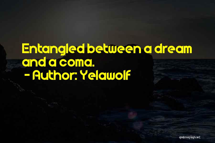 Yelawolf Quotes 2100253