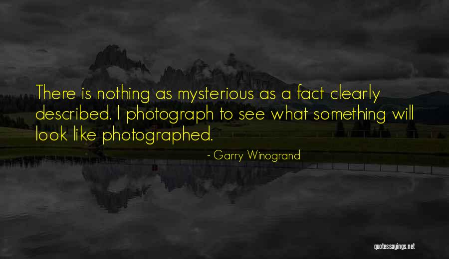Yelich Mom Quotes By Garry Winogrand Yelich Mom Quotes By Garry Winogrand