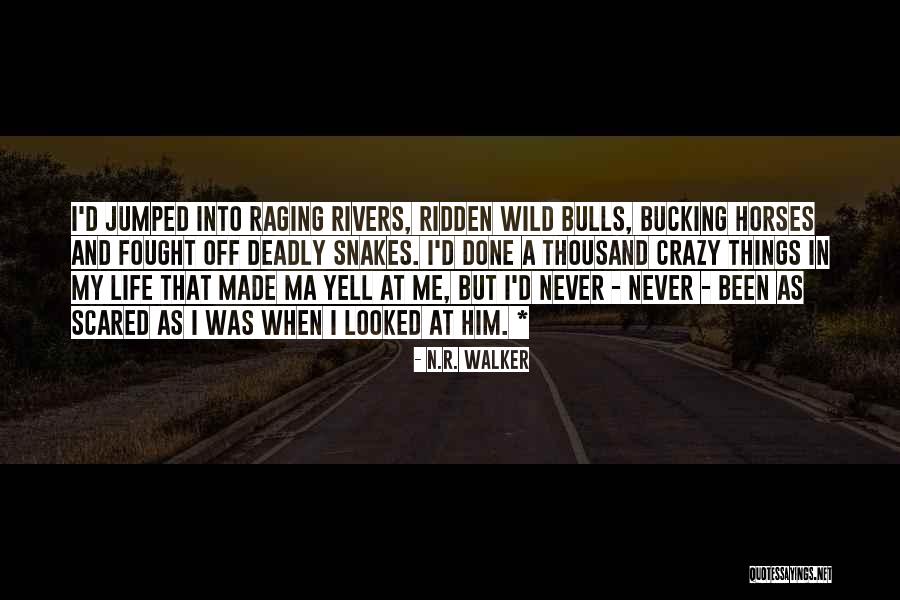 Yell At Me Quotes By N.R. Walker