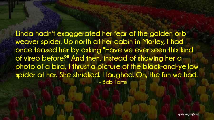 Yellow Bird Quotes By Bob Tarte Yellow Bird Quotes By Bob Tarte