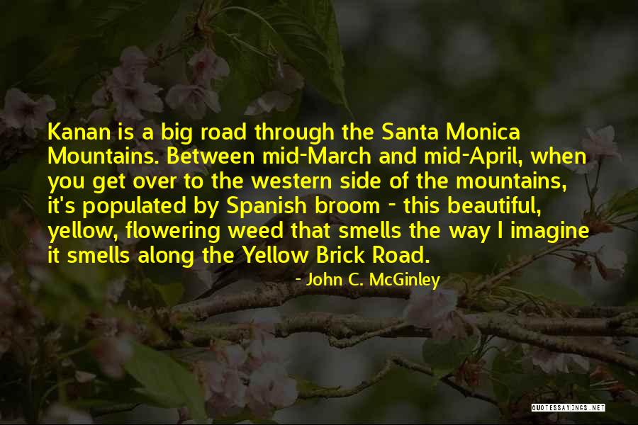 Yellow Brick Quotes By John C. McGinley
