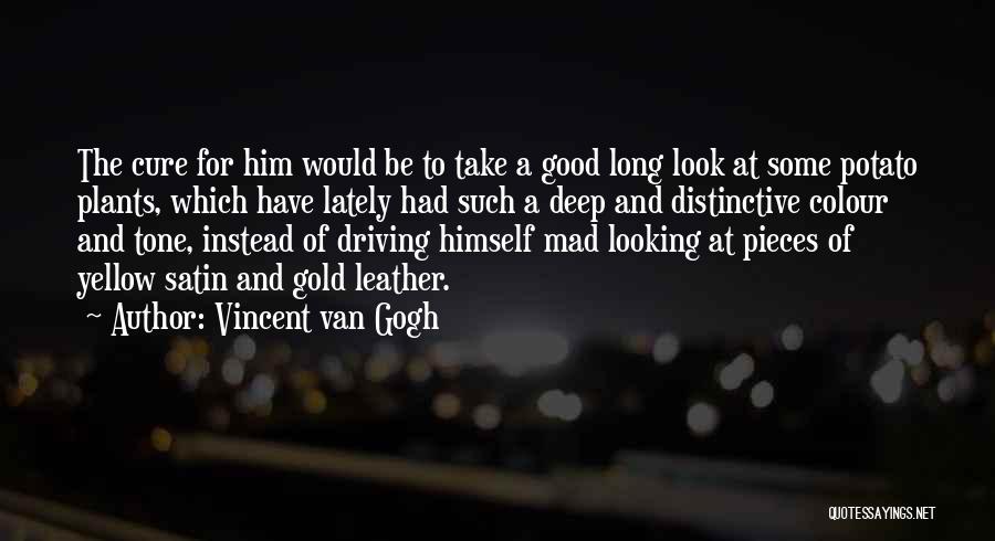 Yellow Colour Quotes By Vincent Van Gogh