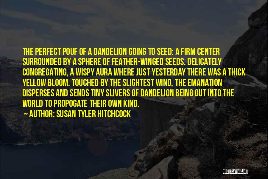 Yellow Dandelion Quotes By Susan Tyler Hitchcock