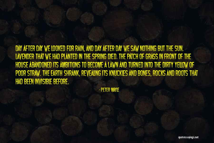 Yellow Day Quotes By Peter Mayle Yellow Day Quotes By Peter Mayle