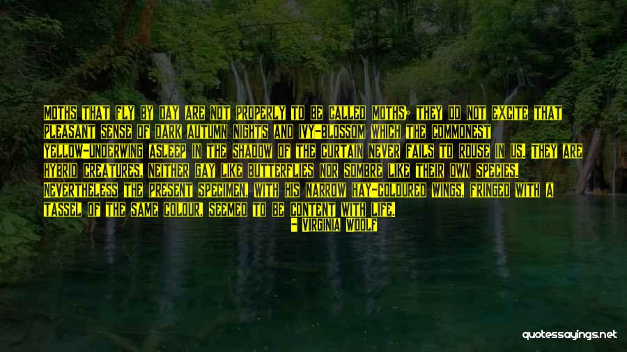 Yellow Day Quotes By Virginia Woolf Yellow Day Quotes By Virginia Woolf