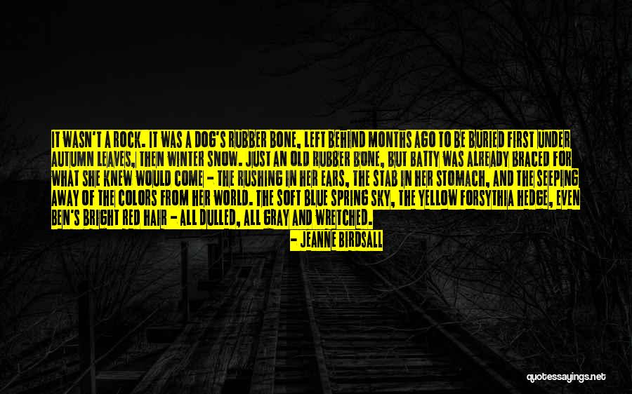 Yellow Dog Quotes By Jeanne Birdsall