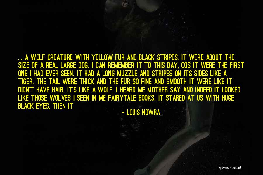 Yellow Dog Quotes By Louis Nowra