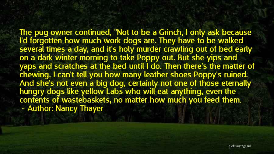 Yellow Dog Quotes By Nancy Thayer