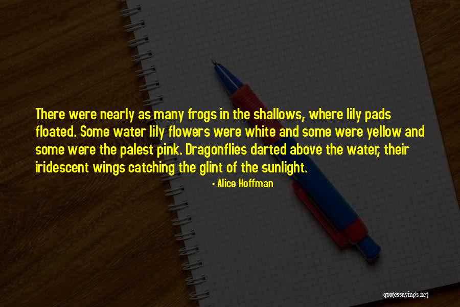 Yellow Flowers Quotes By Alice Hoffman Yellow Flowers Quotes By Alice Hoffman