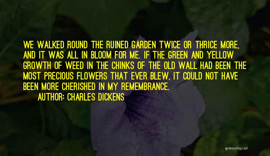 Yellow Flowers Quotes By Charles Dickens