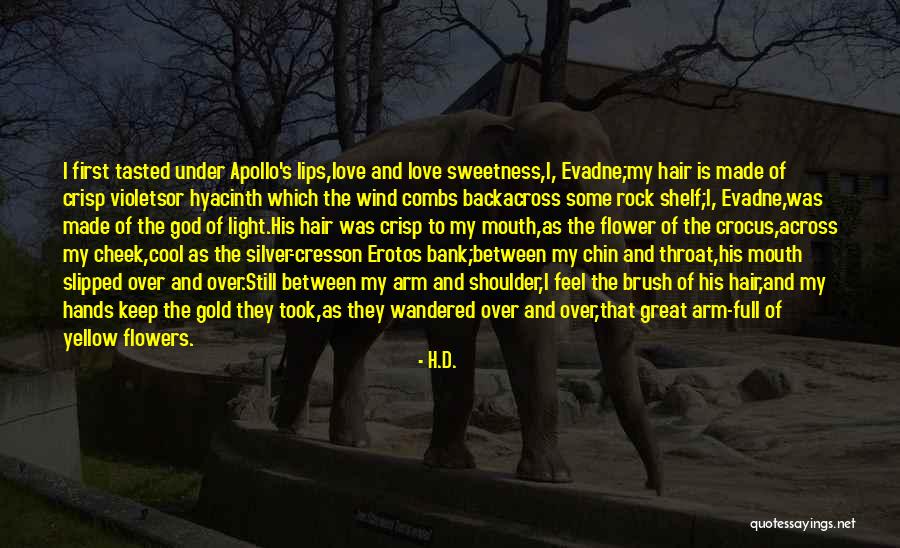 Yellow Flowers Quotes By H.D. Yellow Flowers Quotes By H.D.