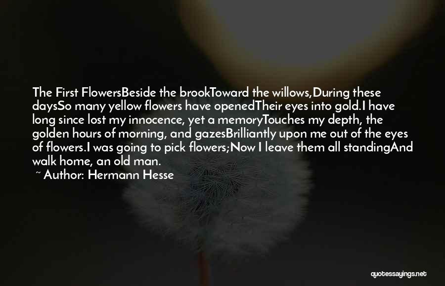 Yellow Flowers Quotes By Hermann Hesse