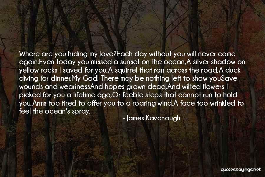 Yellow Flowers Quotes By James Kavanaugh