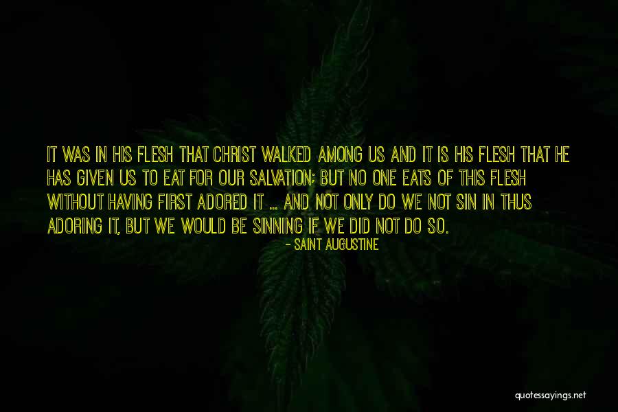 Yellow Fly Repellent Quotes By Saint Augustine Yellow Fly Repellent Quotes By Saint Augustine