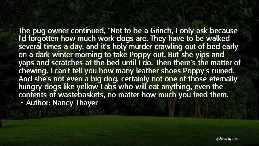 Yellow Labs Quotes By Nancy Thayer